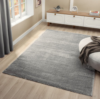 Teppich Asta weicher Hochflor aus harmonischem Design 20 mm Höhe 160 x 230 cm 200x290 cm grau