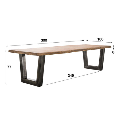 Esstisch Torino Raw 3 Meter Baumkantentisch mit Industrial-Gestell
