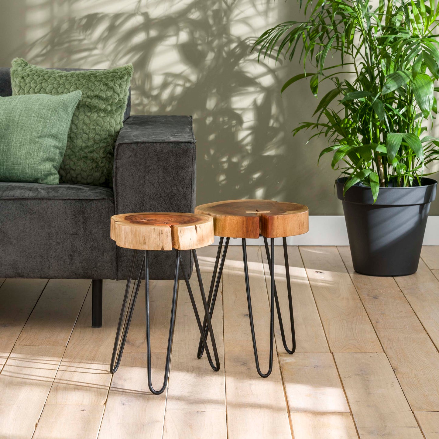 Beistelltisch TRUNK Massiver Akazien-Tisch in Baumscheiben-Optik mit Hairpin-Beinen
