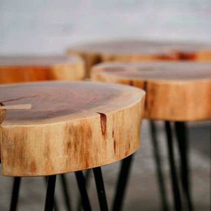 Beistelltisch TRUNK Massiver Akazien-Tisch in Baumscheiben-Optik mit Hairpin-Beinen