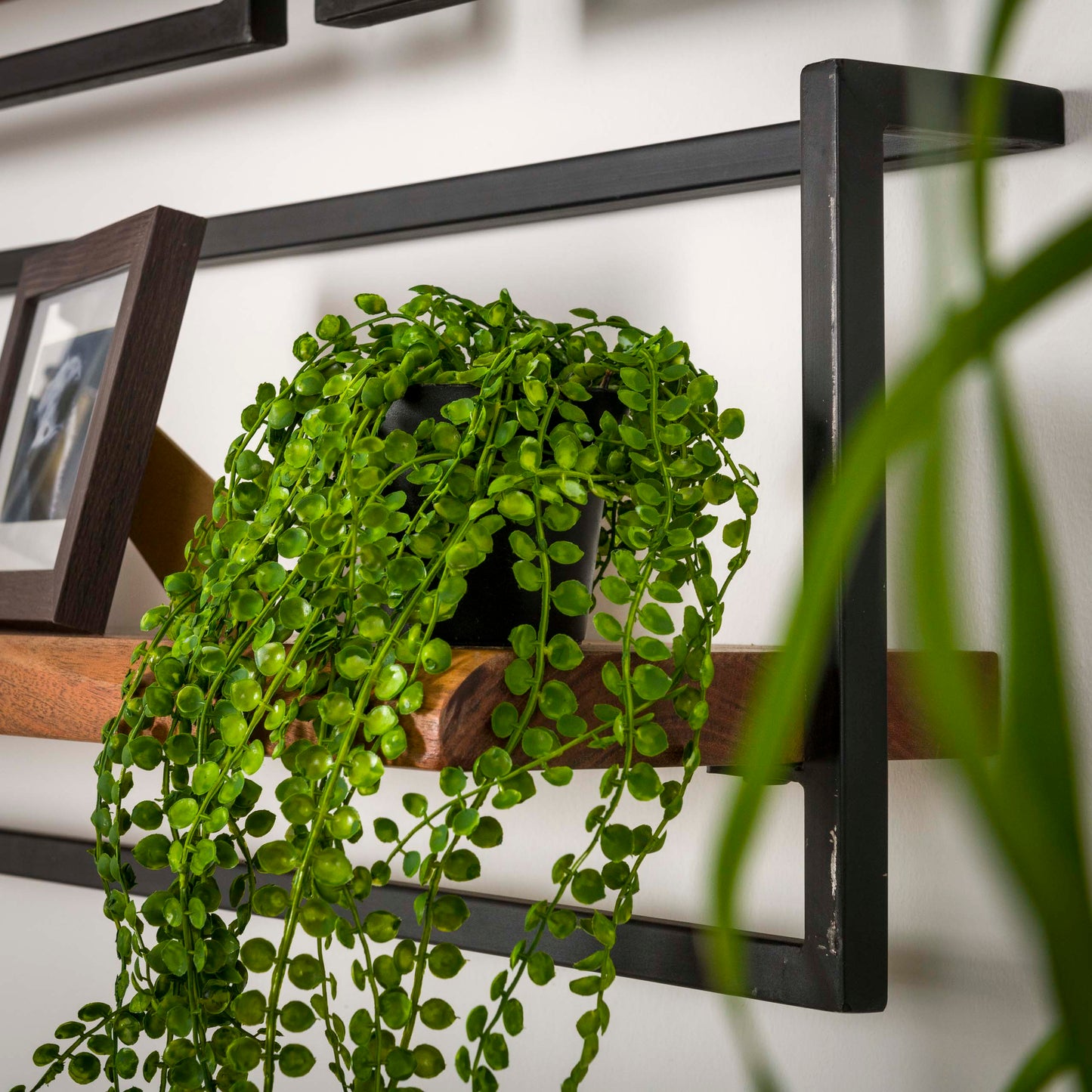 Wandregal EDGE FRAME Vertikales 2-Ebenen-Industrial-Regal mit Baumkante Akazie 30x65 cm