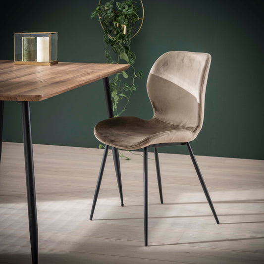 Esszimmerstuhl RONDEA Ergonomischer Samt-Stuhl mit filigranem Metallgestell 4er-Set