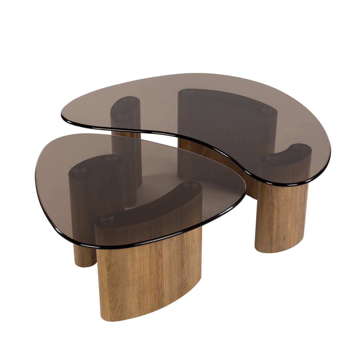 Couchtisch-Set TINTO BRONZO Organische Satztische mit Rauchglas und Holzsockel