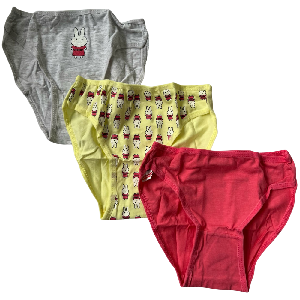 6 Mädchen Slips Unterhosen Unterwäsche Panty Kinder Baumwolle Hipster 3-10 Jahre