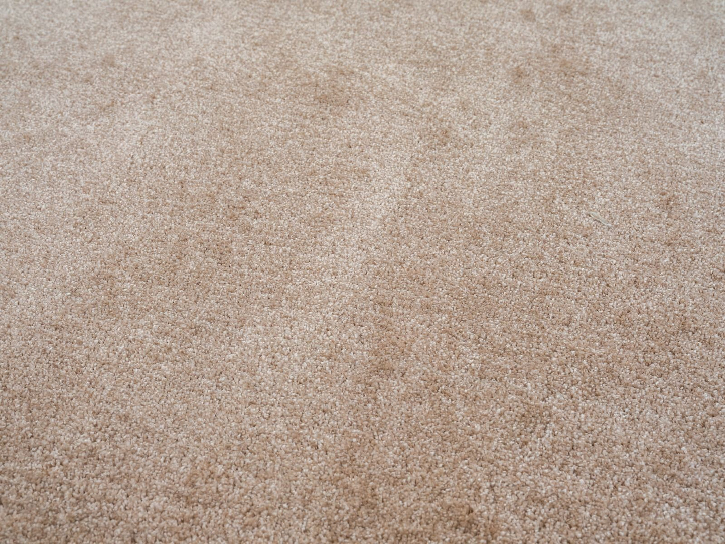 Teppich Asta weicher Hochflor aus harmonischem Design 20 mm Höhe 160 x 230 cm 200x290 cm beige